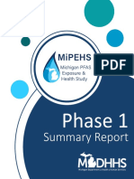 MiPEHS Phase 1 Summary Report