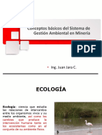 Sistema de Gestión Ambiental en Minería