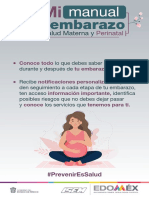 Salud Materna Y: Embarazo