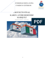 Proyecto Final Karen Comercio Exterior