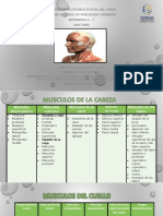 Universidad Politecnica Estatal Del Carchi Sistema Nacional de Nivelacion Y Admision Enfermeria A - T Anatomia