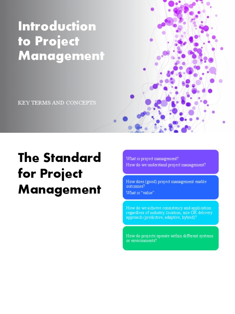 introduction-to-the-standard-for-project-management-pdf-project