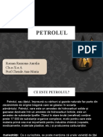 Petrolul: Roman Ramona-Aurelia Cls.a-X-a A Prof - Chende Ana-Maria