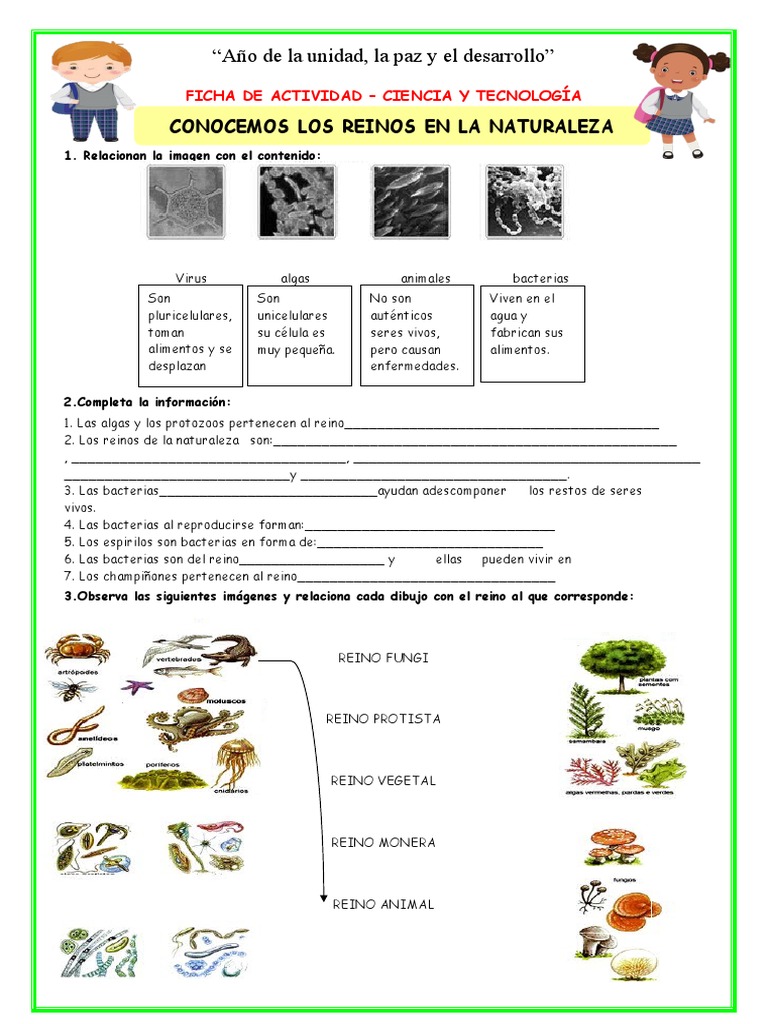 Ficha - Juev-Cyt-Conocemos Los Reinos en La Naturaleza | PDF | Algas |  Plantas