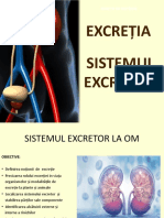 Excreția Sistemul Excretor: Funcții de Nutriție