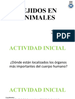 Tejido en Animales-Actividad Inicial