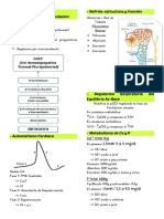 Función renal, regulación respiratoria y sistema nervioso