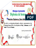 Diploma Voley