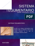Sistema Tegumentario: Anatomía - Funcionamiento - Patologías