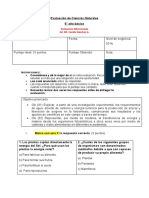 Evaluación Diferenciada Ed. Dif. Camila Sánchez G.: Nstrucciones
