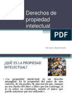 Derechos de La Propiedad Intelectual