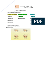 Clasificación de Los Carbohidratos