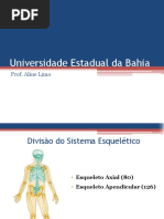 Apostila Osteologia Membro Torácico Equino 2 Pdf Sistema