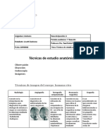 Técnicas de Estudio Anatómico: Observación Disección Endoscopía Imágenes