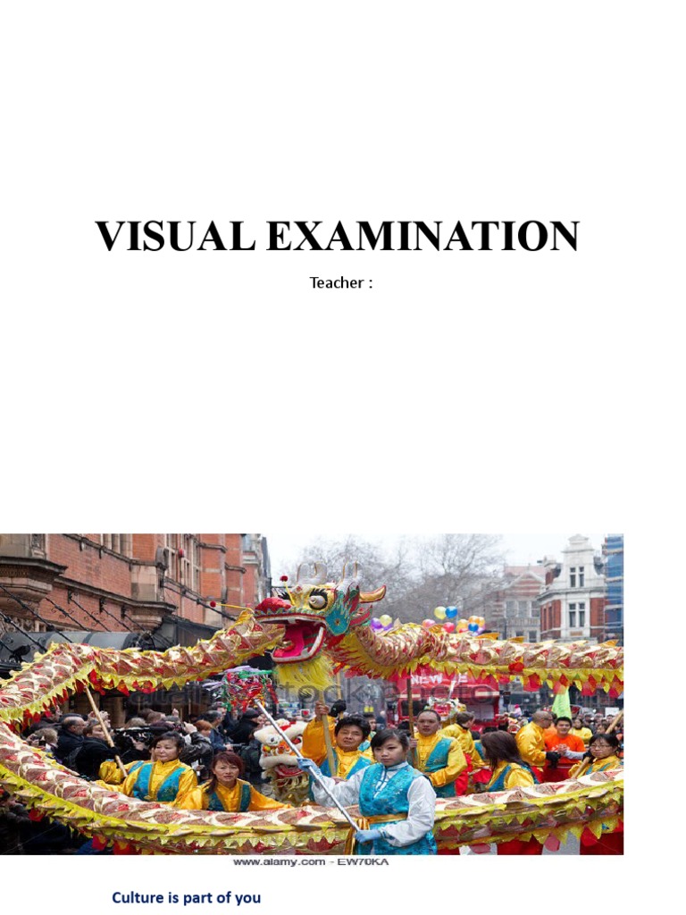 Visual Examination PDF