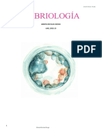 Embriología: Marta Nicolau Berga UAX, 2022-23