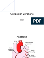 Circulacion Coronaria