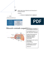 Resumen Histologia