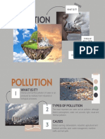 Pollution: What Is It?