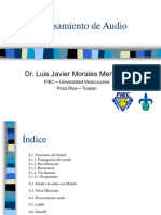 Procesamiento de Audio: Dr. Luis Javier Morales Mendoza