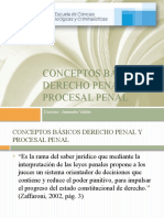 Conceptos Básicos Derecho Penal Y Procesal Penal: Doctora: Jeannette Valdés