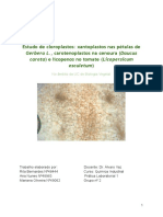 Estudo de cloroplastos: xantoplastos, carotenoplastos e licopenos