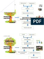 Organizacion Causa Efecto