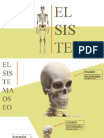 El Sistema Oseo