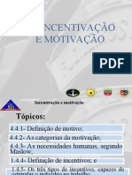 Incentivacao e Motivacao