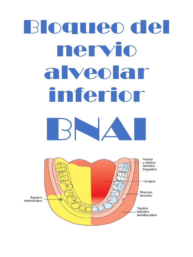 Guia Tecnicas De Anestesia Pdf Pdf Inyección Medicina Anestesia