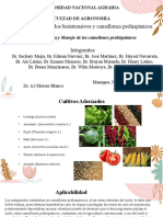 Unidad II: Métodos Biointensivos y Camellones Prehispánicos: Universidad Nacional Agraria Facultad de Agronomía