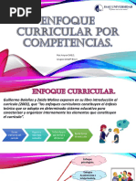 Enfoque Curricular Por Competencias para Video