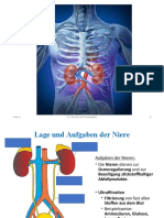 11.3 Die Niere Und Osmoregulation-2022