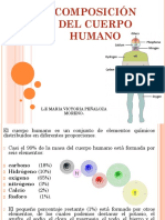 Composición Del Cuerpo Humano