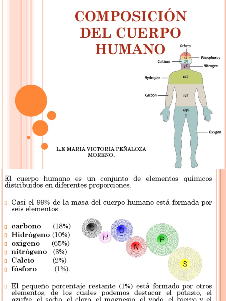 Composición Del Cuerpo Humano | Descargar gratis PDF | Elementos ...