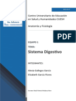 Sistema digestivo: órganos, funciones y procesos de digestión