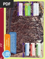 Capitulo 18 Actividades 5to Año Solucionario