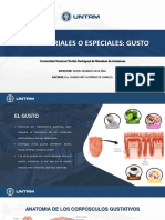 Vías Sensoriales O Especiales: Gusto: Universidad Nacional Toribio Rodríguez de Mendoza de Amazonas