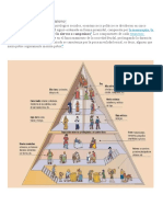 Organización Social en El Feudalismo