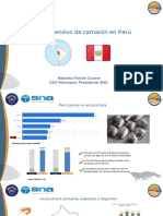 Cultivo Intensivo de Camarón en Perú: Roberto Ferrón Cosme CEO Marinasol. Presidente SNA