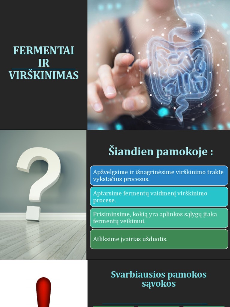Fermentai Ir Virškinimas | PDF