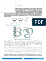 26.01 DNA-Dependent Synthesis of RNA