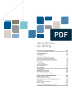 Bio-Rad08 Cat2016 Electroph-Blotting