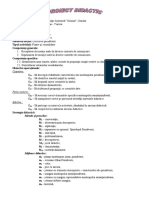 Proiect Didactic Detectivii Primaverii