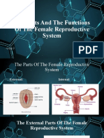 The Parts and The Functions of The Female Reproductive System