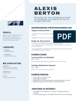 Alexis Berton: Experiences Professionnelles