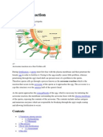 Acrosome Reaction