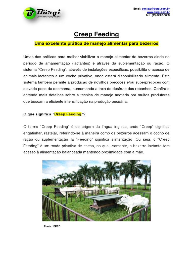 Creep Feeding para Bezerros | PDF
