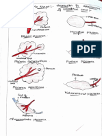 Embryology Notes