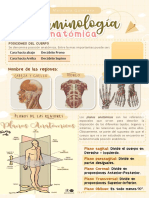 Terminología: Maricela Quintero